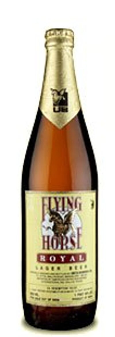 Flying Horse (India)