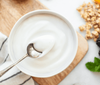 Plain Yogurt